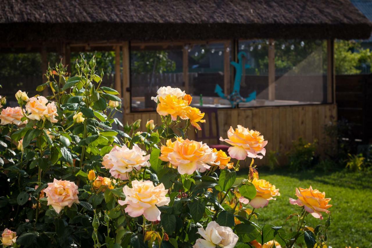 Zen Eco Villa สฟึนตูกีออร์เก ภายนอก รูปภาพ